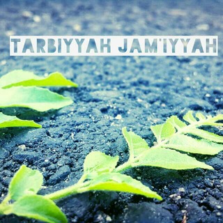 Tarbiyyah Jami'yyah