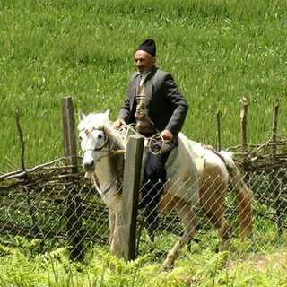 ● هزارجریب نکا ●