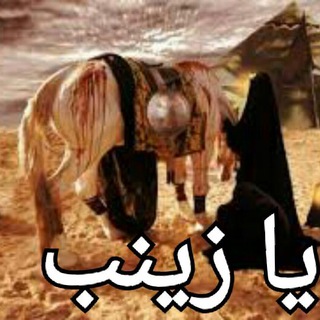 یا زینب(سلام الله علیها)