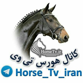 Horsetv.ir  |  هورس تی وی