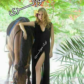 اورک سوزلری