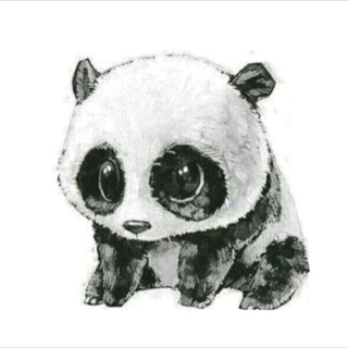 •panda♡