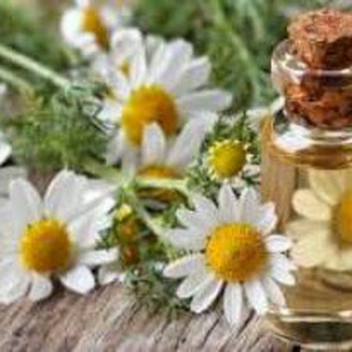 روغن های گیاهی ایلیا