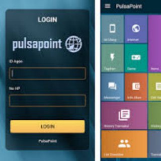 PULSAPOINT INFO