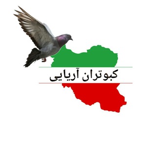 کبوتران آریایی.A