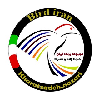 Bird iran(پرنده ایران)