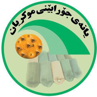 کانالی جورابین