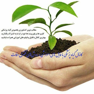 جزوات ارشد و دکتری گیاه پزشکی