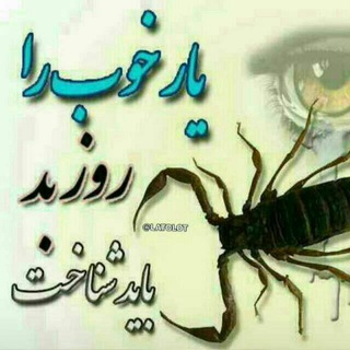 کافه عاشقی