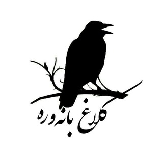 کلاغ بانه وره