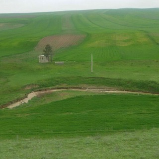 کانال خبری طایفه کلاسر