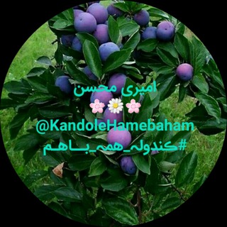 ?کندوله همه باهم?