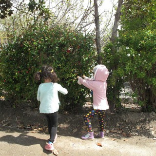 Kavikonj; NatureSchool