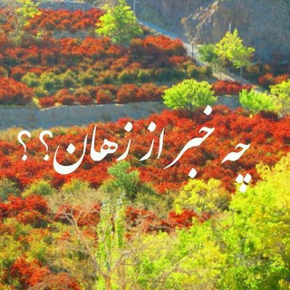 چه خبر از زهان؟