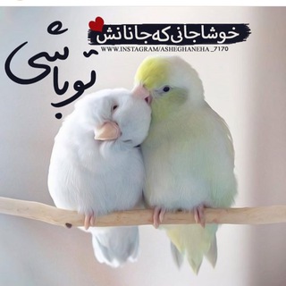 ♥خاص ترین خواسته ے من♥♥