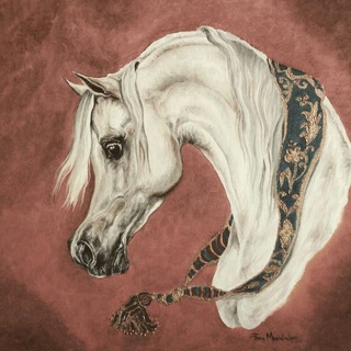 Khoozestan Arab horse