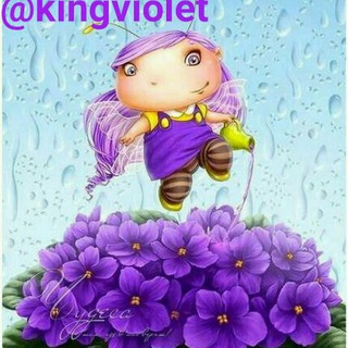 KING violet