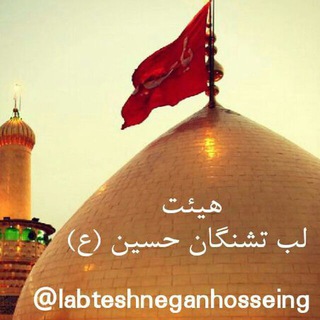 هیئت لب تشنگان حسین(ع)