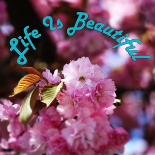 Life is beautiful