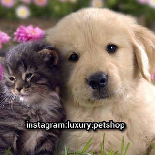 ?luxury petshop?