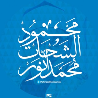 محمود شحات انور