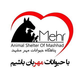 Mehr animal shelter(پناهگاه مهر مشهد)