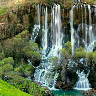 دورود سیتی