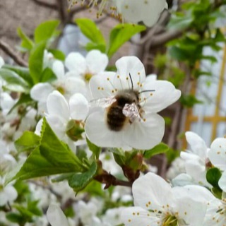 عکسهای قدیمی وجدید جرجافک