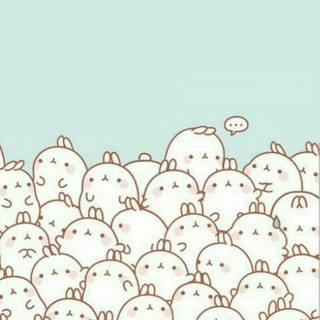 Molang Theme Updates!