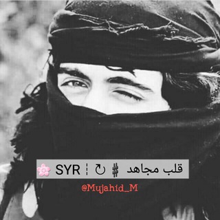 قلب مجاهد ♯↻┆SYR ?