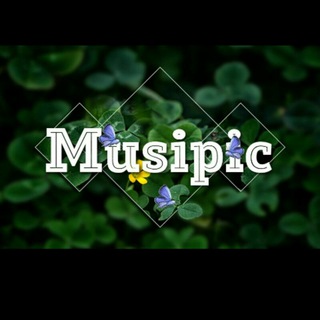 ?⃤musipic?️?️