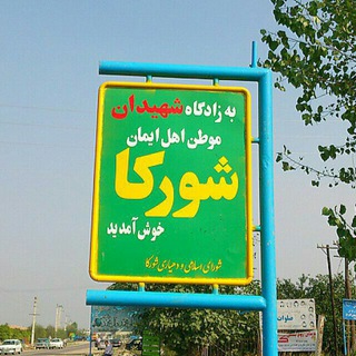 از شورکا چه خبر؟؟