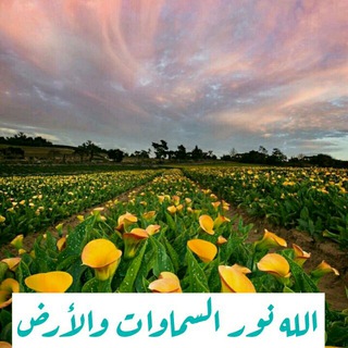 الله نور السماوات والأرض