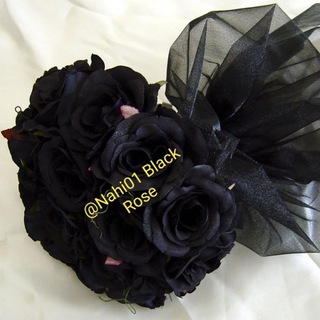 ? کلبه شعر و موسیقی Black Rose ?