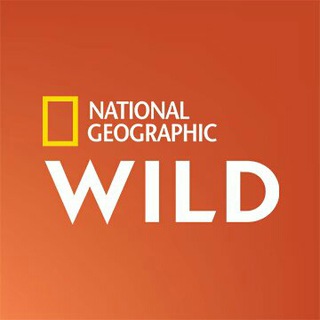 Nat Geo WILD