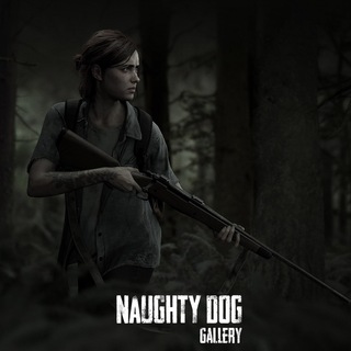 Naughty Dog Gallery