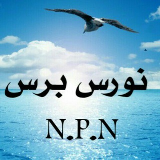 قناة النورس برس الاخبارية NPN