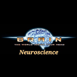 Neuroscience(نوروساینس)