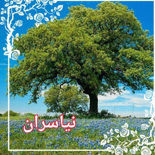 نیاسران-niasaran