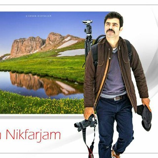 Nikfarjam Photography