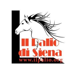 Il Palio di Siena ?