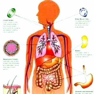 ?پژوهشکده علوم پایه تا پزشکی ?