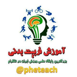 آموزش تربیت بدنی