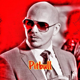 Pitbull