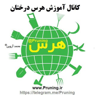 Pruning آموزش هرس درختان