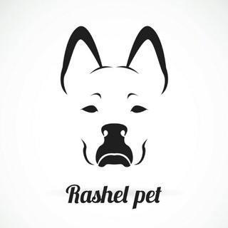 Rashel_pet