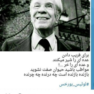 موسسه پژوهشي و حقوقي F.Z