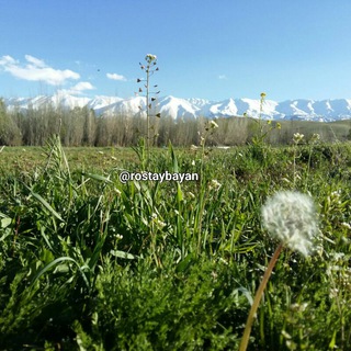 روستای بیان،نهاوند