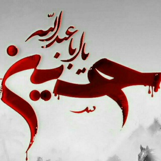 روضة الحسین کوچه بیوک یزد