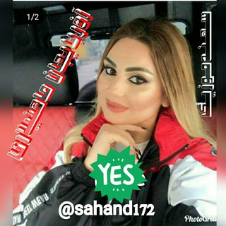 sahand172